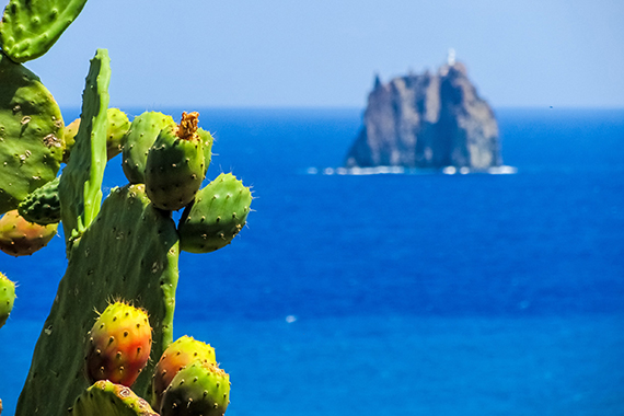 a palumma agriturismo escursioni sicilia